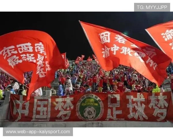 中超是否推动球迷文化研究与传播平台建设，中超球迷组织